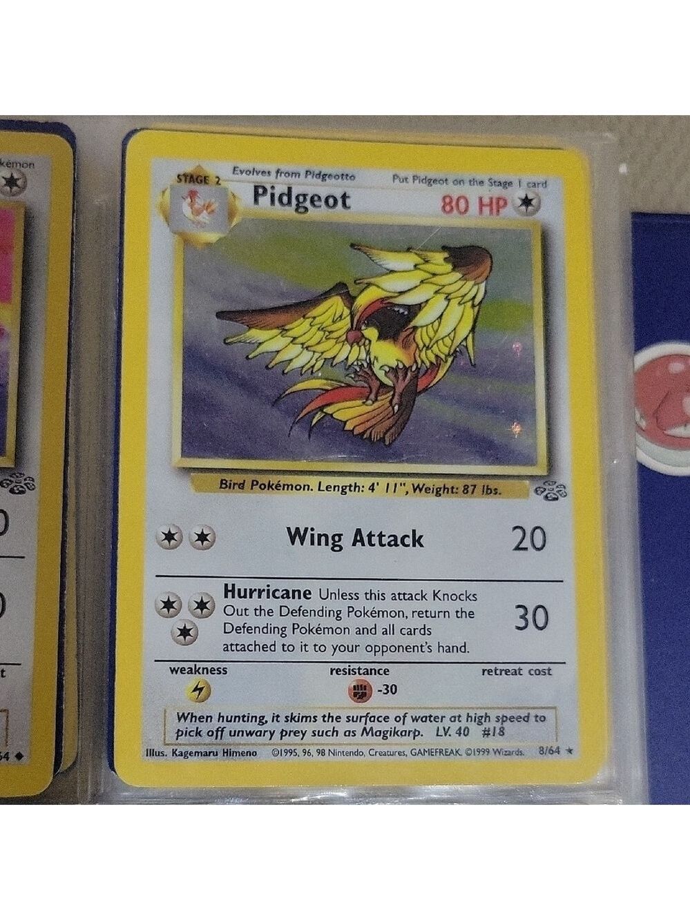 Pokemon Card Pidgeot